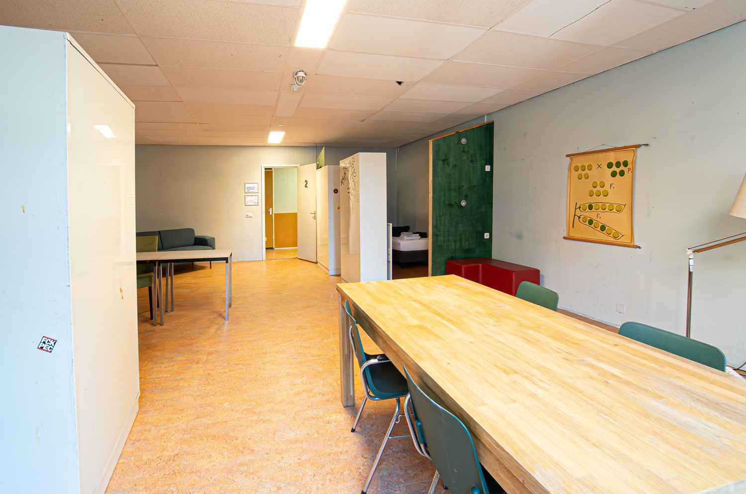 Room 2 — 57 m² student room in Groningen