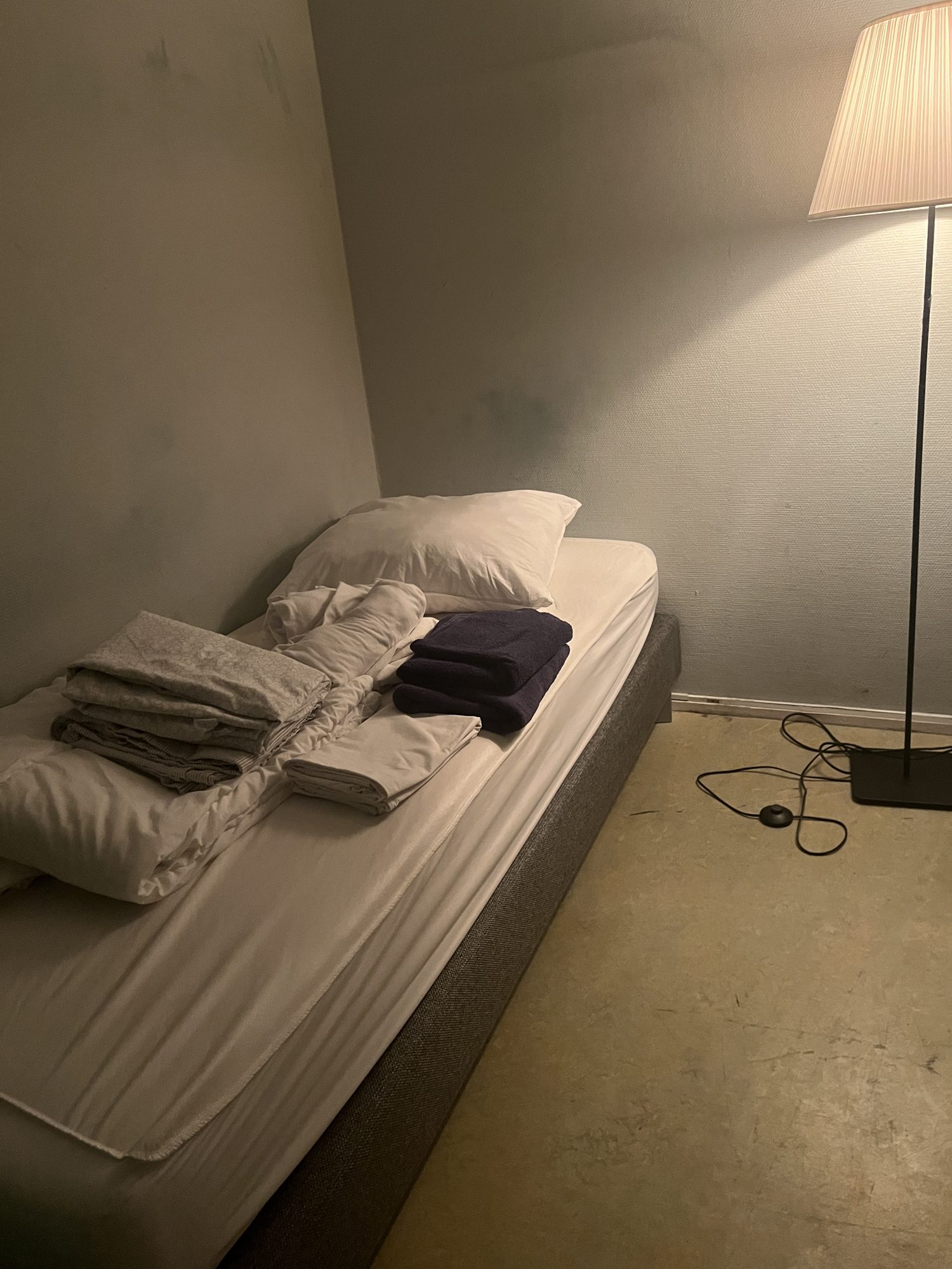 Room 3 — photo 6