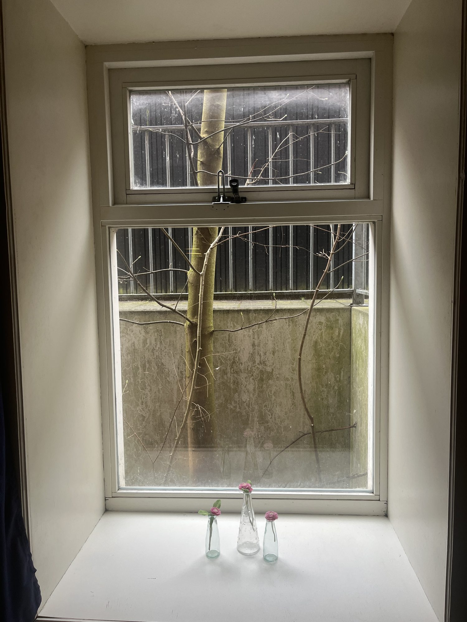 Room M — photo 5